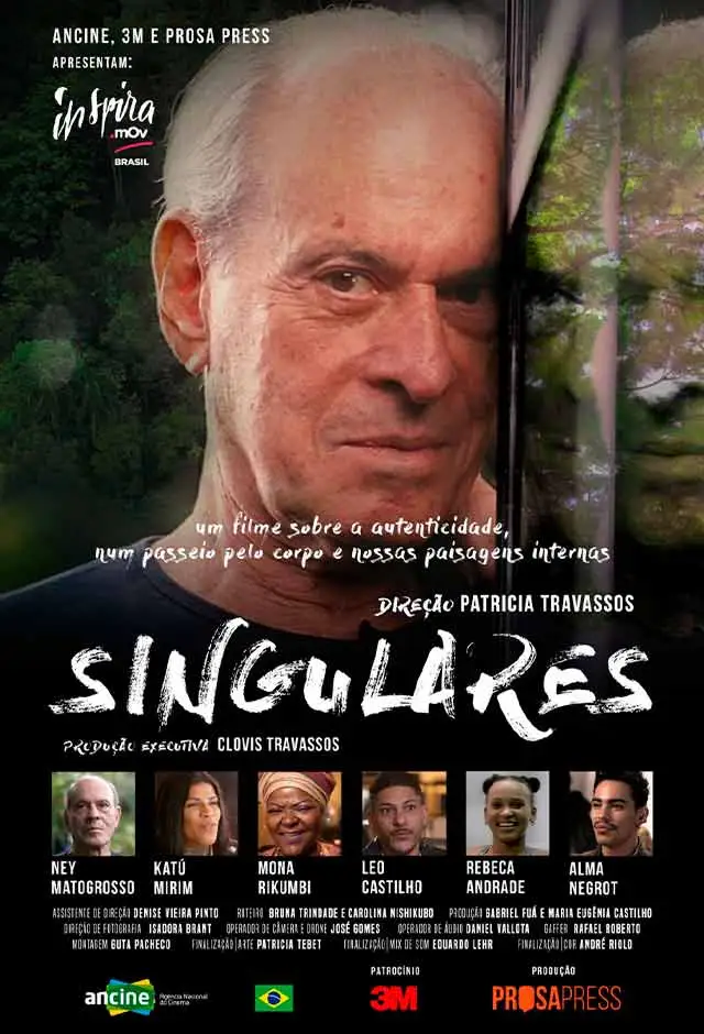 Singulares