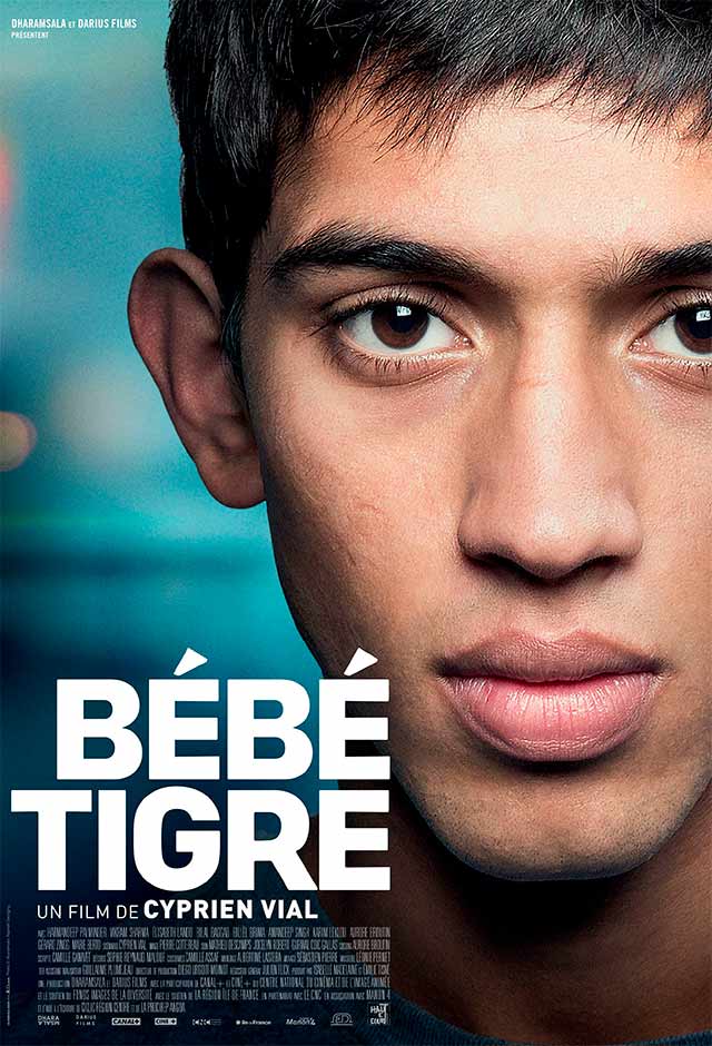 Jovem Tigre