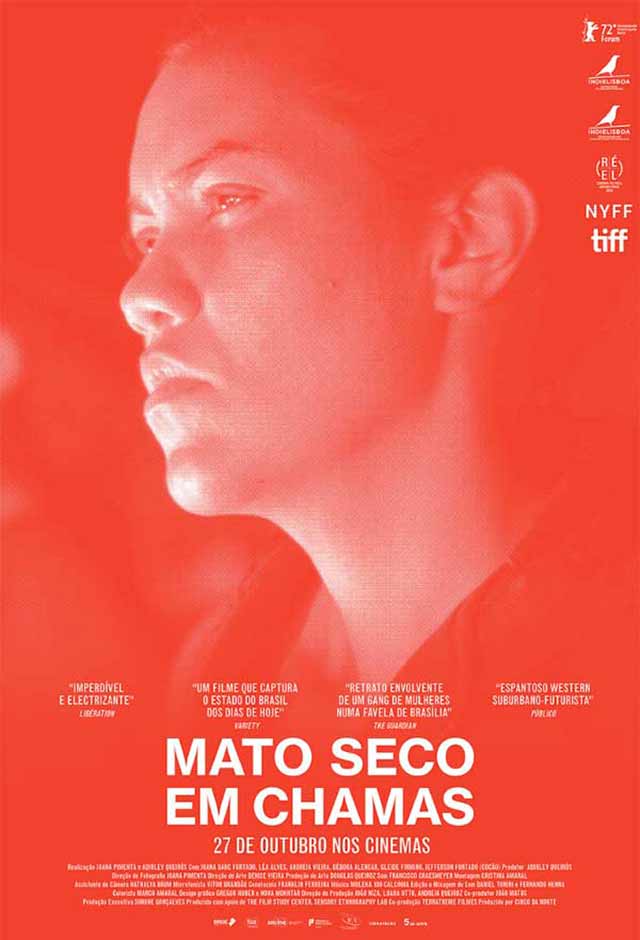 Cartaz do filme Mato Seco em Chamas