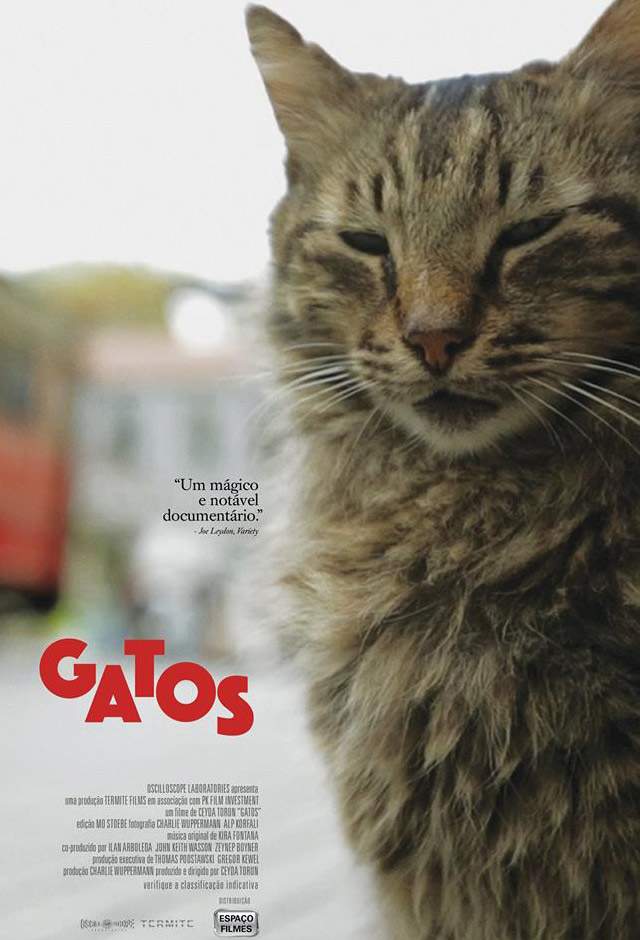 Gatos