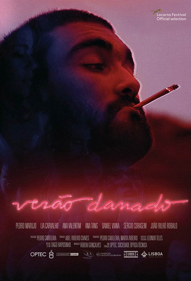 Cartaz do filme Verão danado