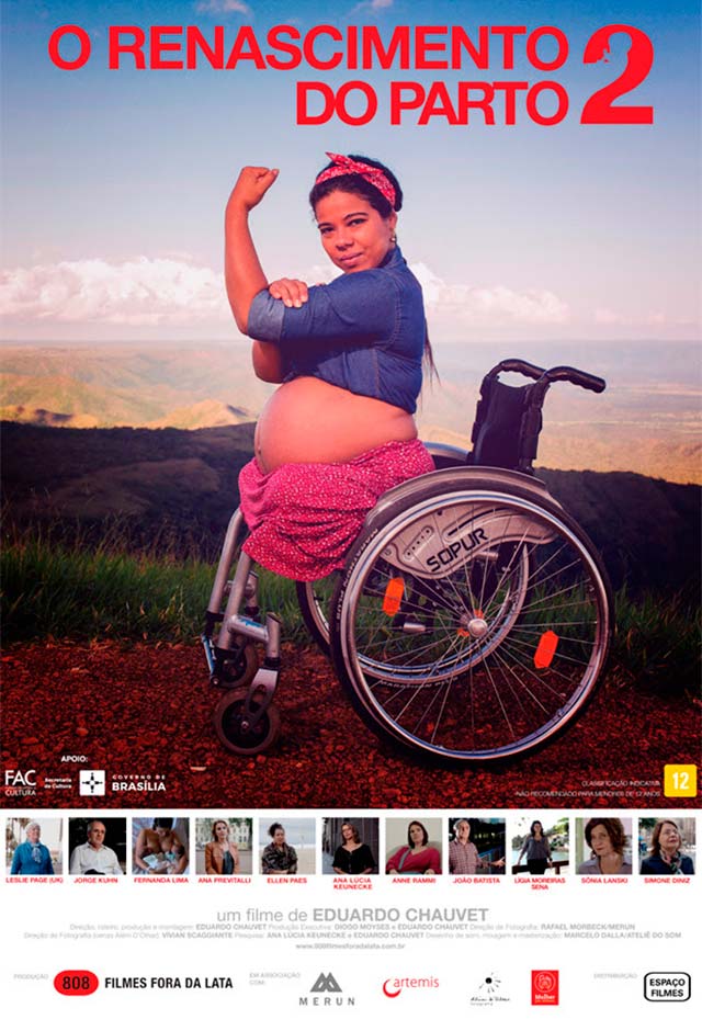 Cartaz do filme O renascimento do parto 2