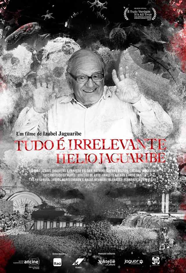 Tudo é Irrelevante, Hélio Jaguaribe