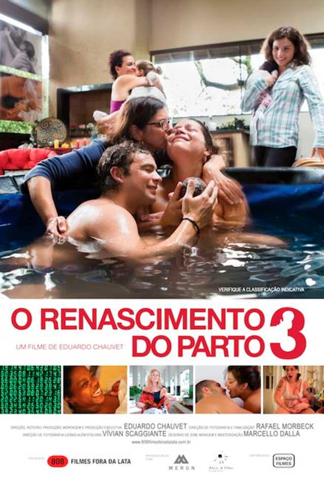 Cartaz do filme O Renascimento do Parto 3