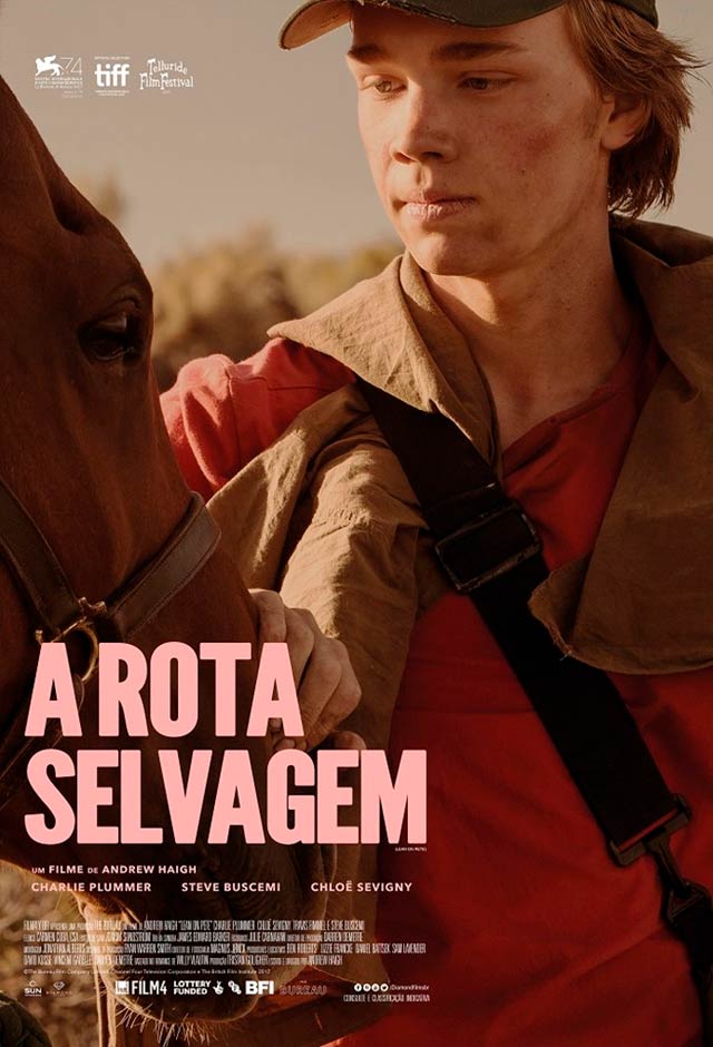 Cartaz do filme A rota selvagem