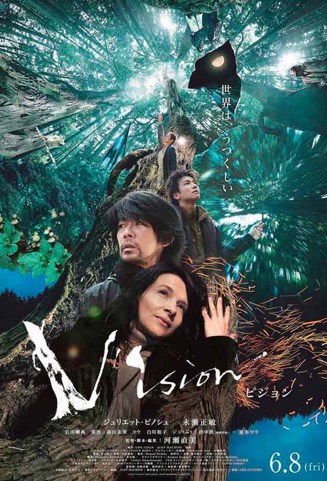 Cartaz do filme Vision
