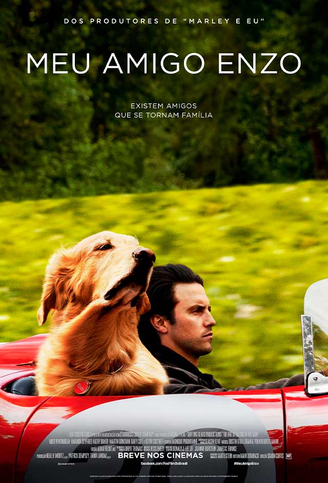 Cartaz do filme Meu Amigo Enzo