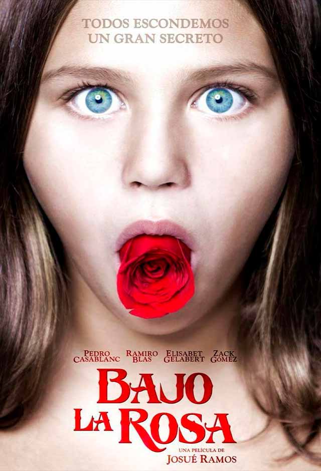 Cartaz do filme O Enigma da Rosa