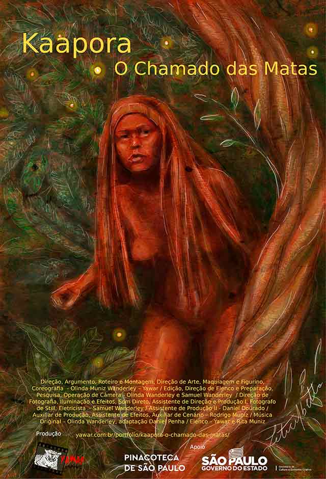 Cinema indígena e linguagens artísticas