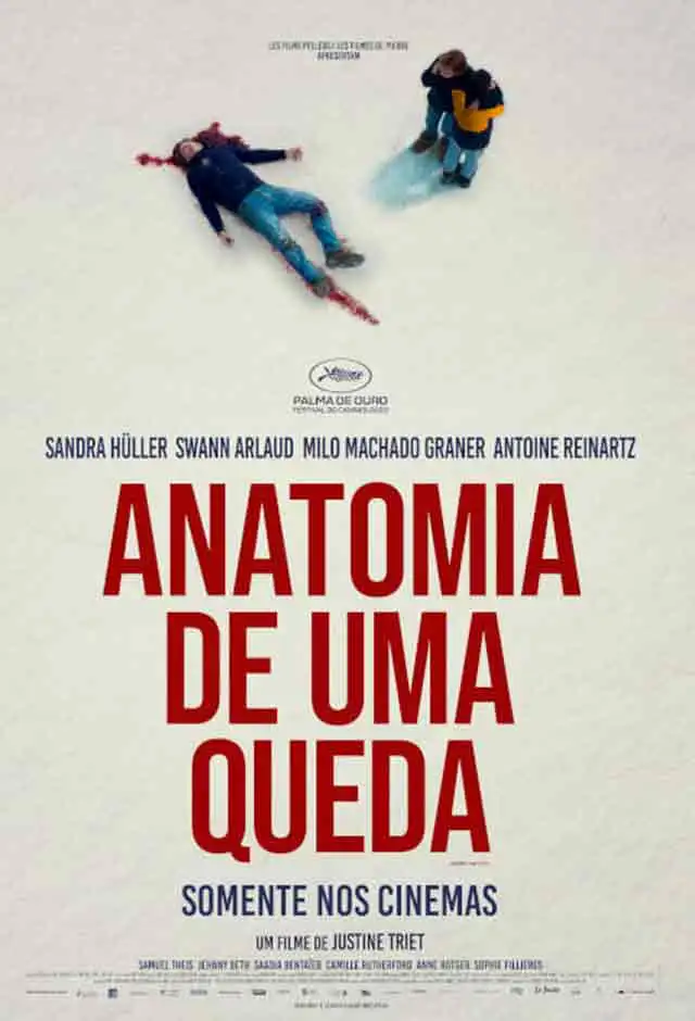 Cartaz do filme Anatomia De Uma Queda