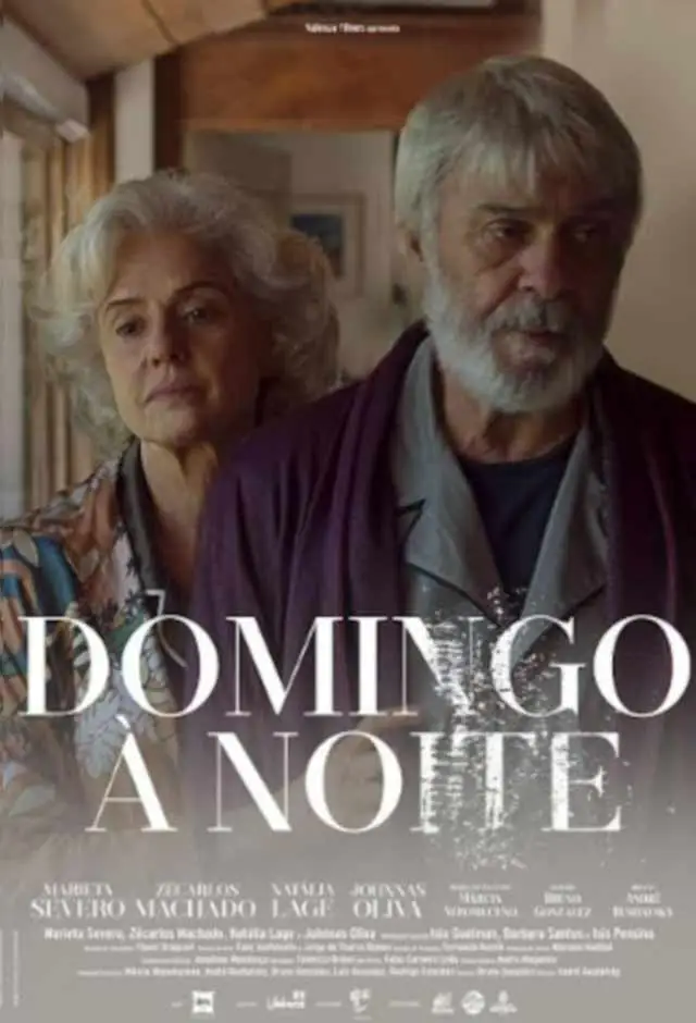 Cartaz do filme Domingo à Noite