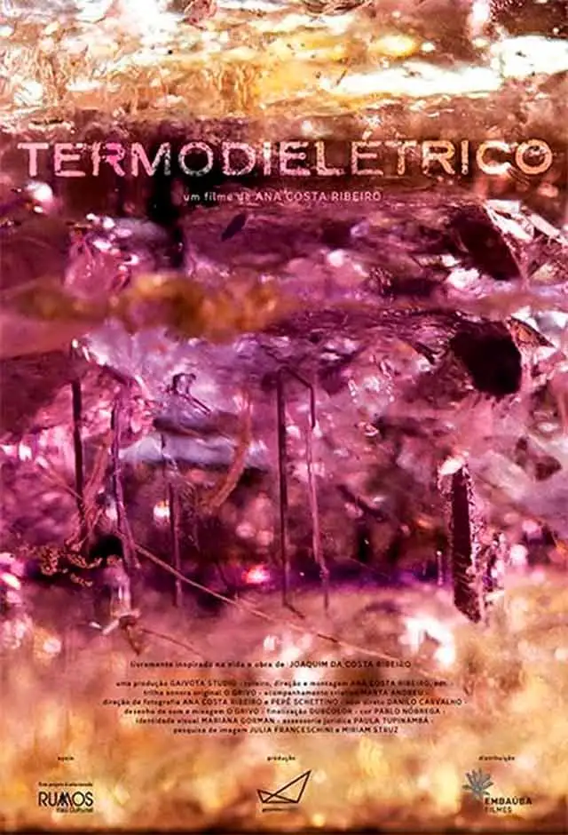 Termodielétrico