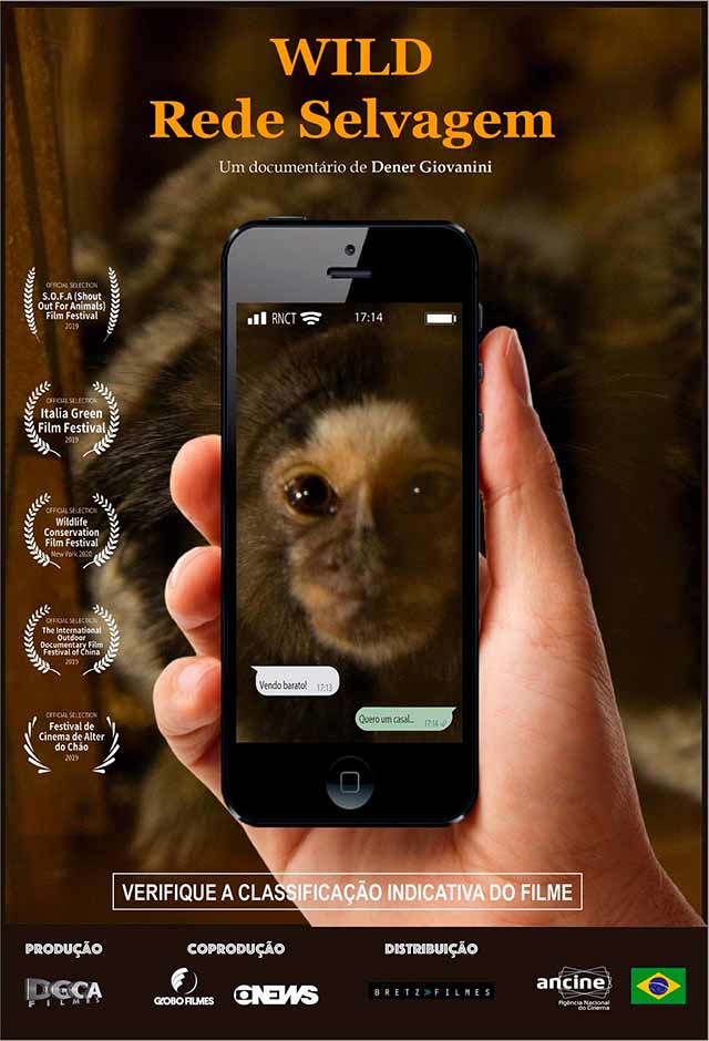 Wild - Rede Selvagem