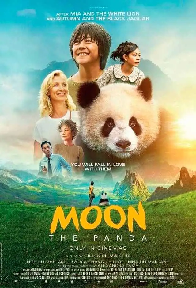 O Menino E O Panda