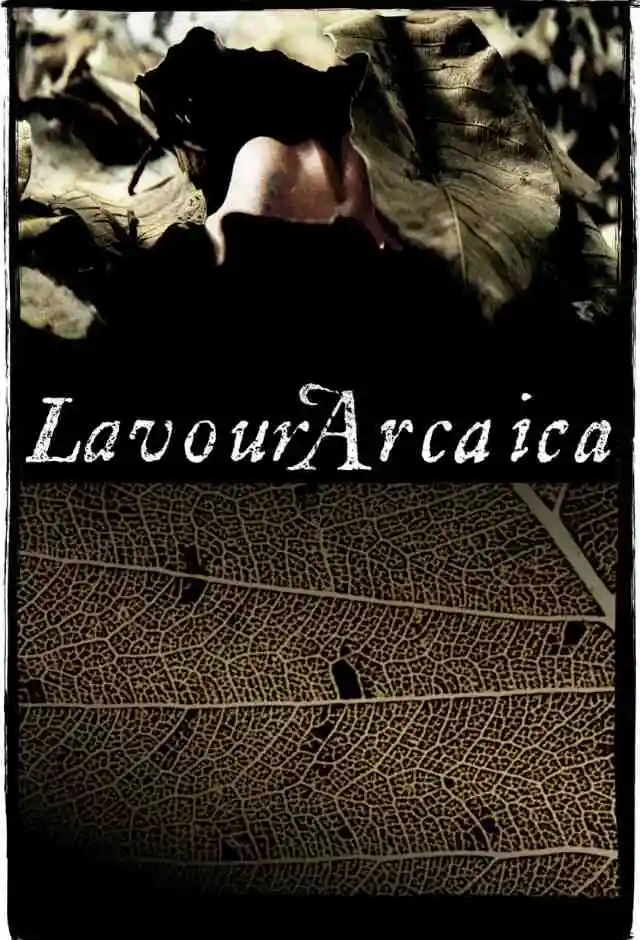 Lavoura Arcaica