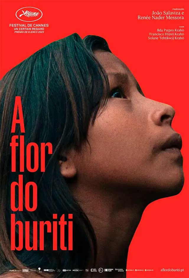 Agrofloresta No Meio Do Caminho + A Flor Do Buriti
