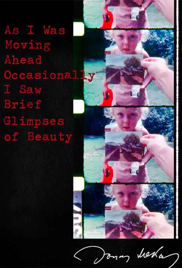 Cartaz do filme Ao Caminhar Entrevi Lampejos de Beleza