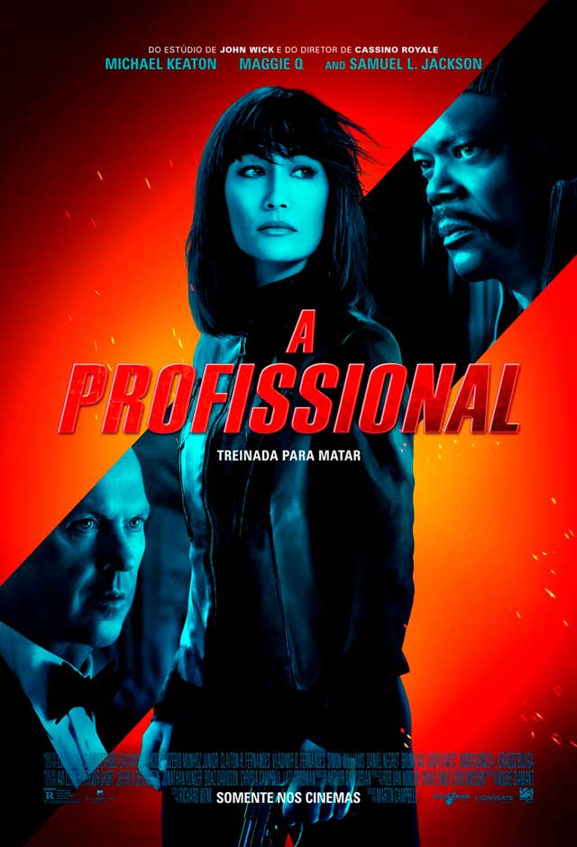 Cartaz do filme A Profissional