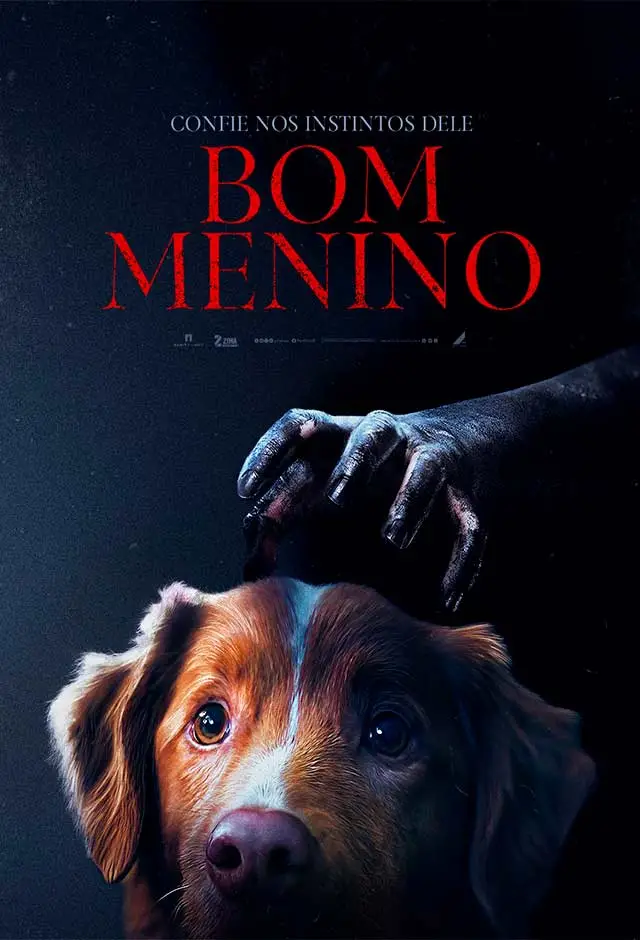 Cartaz do filme Bom Menino