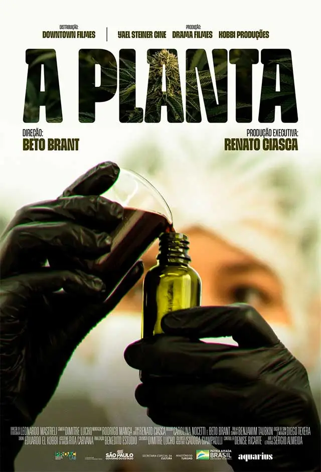 A Planta