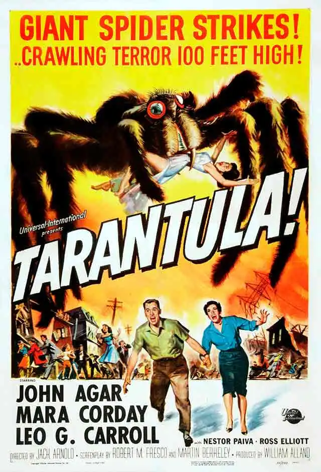 Tarântula, a Aranha Gigante