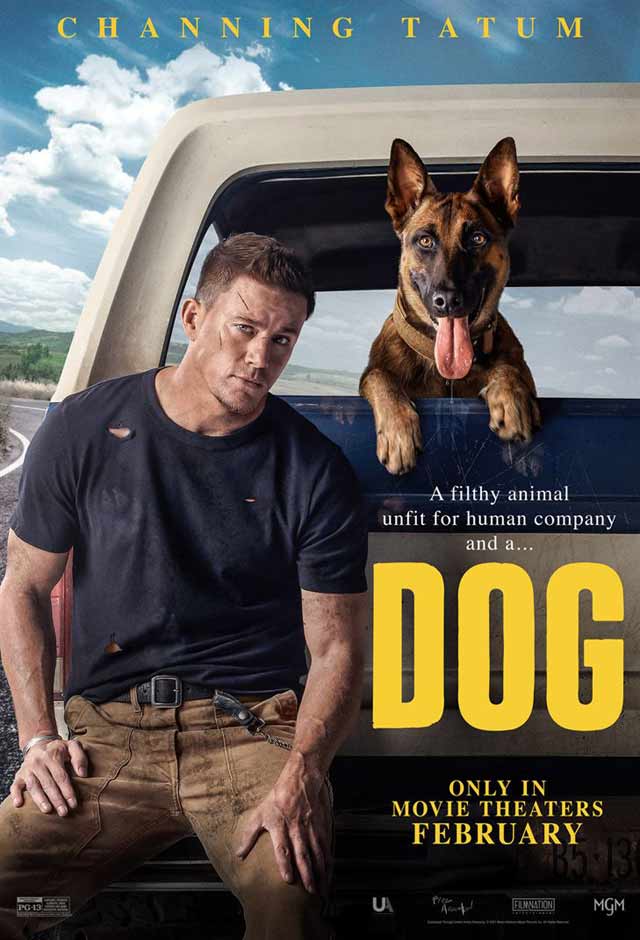 Cartaz do filme Dog: A Aventura de Uma Vida