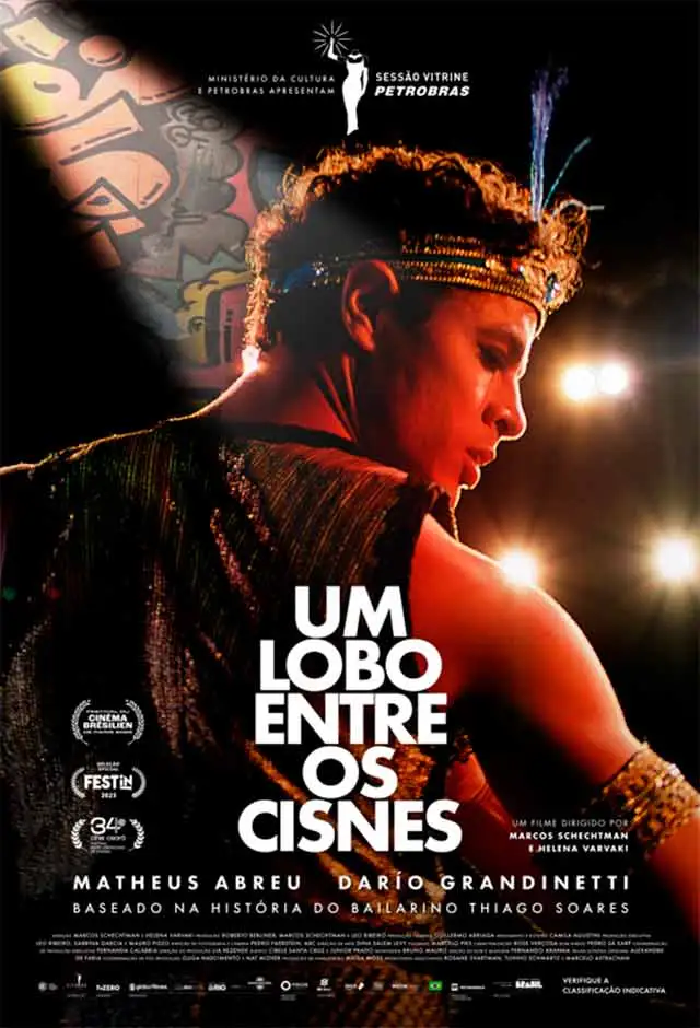 Cartaz do filme Um Lobo Entre Os Cisnes