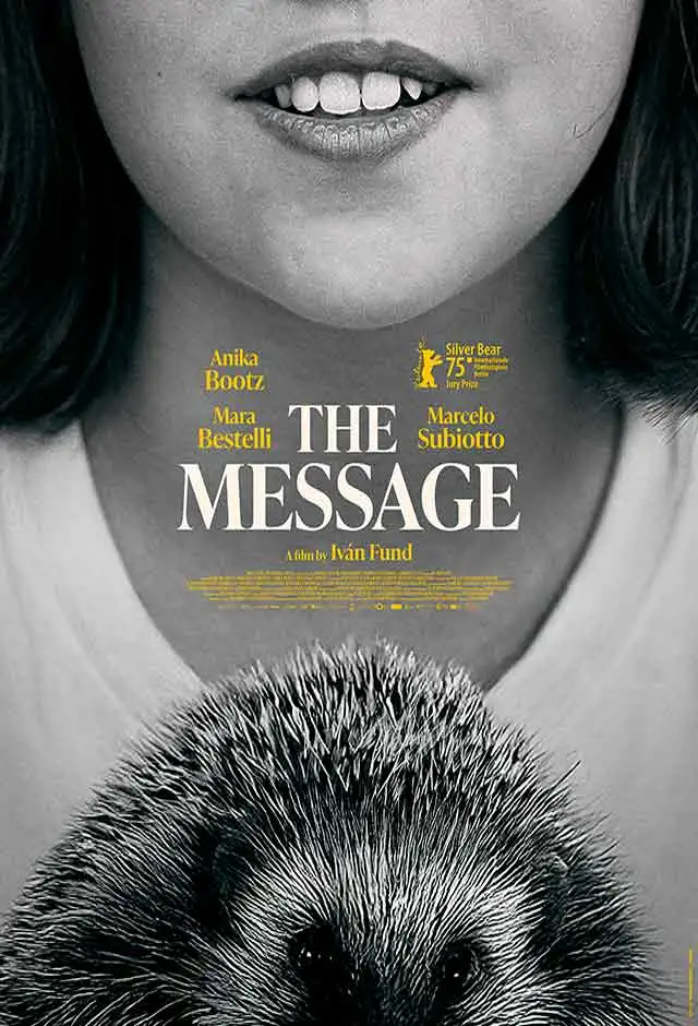 Cartaz do filme A Mensageira