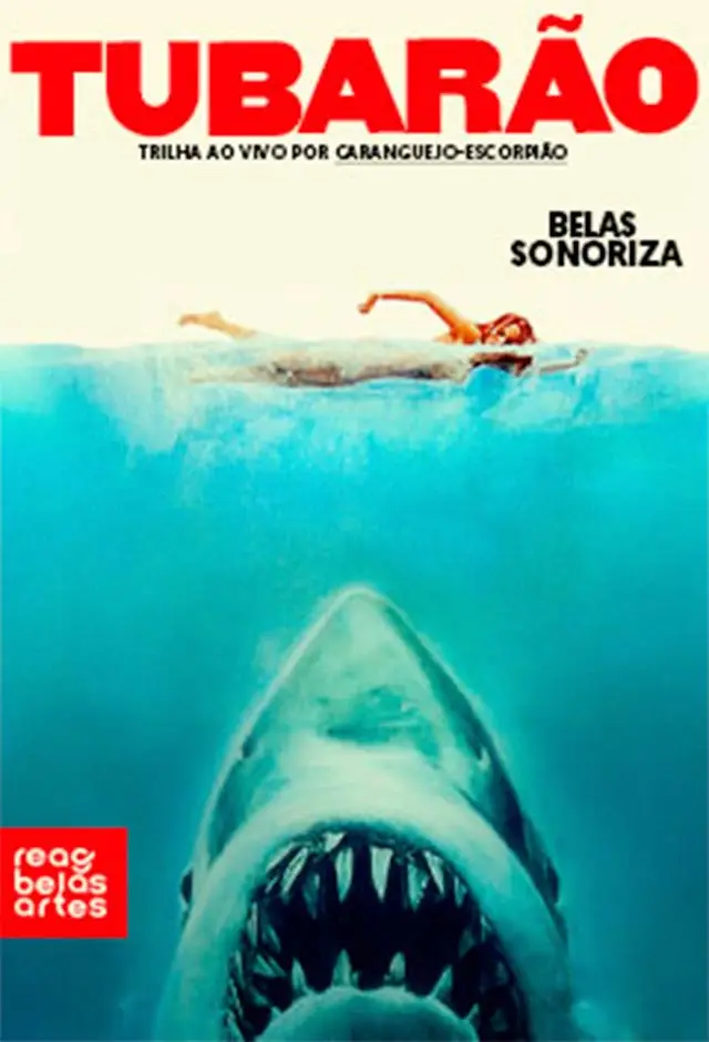 Belas Sonoriza – Tubarão