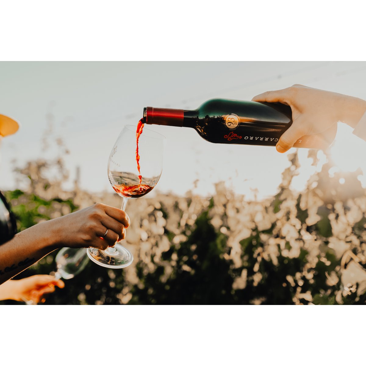 Crise do metanol impulsiona busca por vinho seguro e saudável