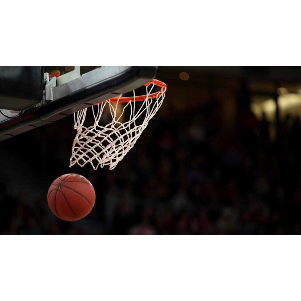 NBA 2025/26: Favoritos ao título e apostas na Betfair