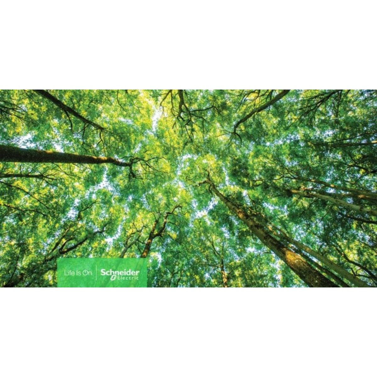 Schneider Electric recebe selo Sustainability Lighthouse do Fórum