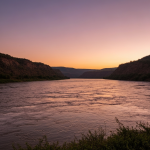 Paisagem costeira do Paraná com vegetação exuberante e mar ao fundo, representando a conservação ambiental.