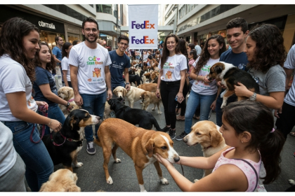 Cães aguardam adoção em feira promovida pela FedEx, Cão Sem Dono e Tietê Plaza.