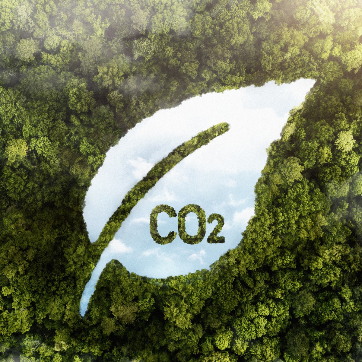 COP30: 5 tendências para eventos em 2026