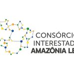 Crimes ambientais na Amazônia: diagnóstico será apresentado na COP30
