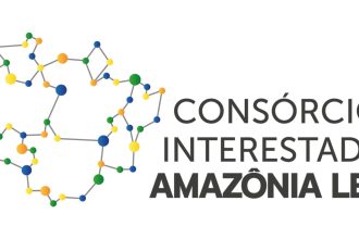 Crimes ambientais na Amazônia: diagnóstico será apresentado na COP30