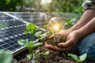 Energia renovável: 76% valorizam, mas só 26% usam, diz estudo