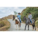 Irmãos à Obra: nova série estreia no Discovery Home & Health