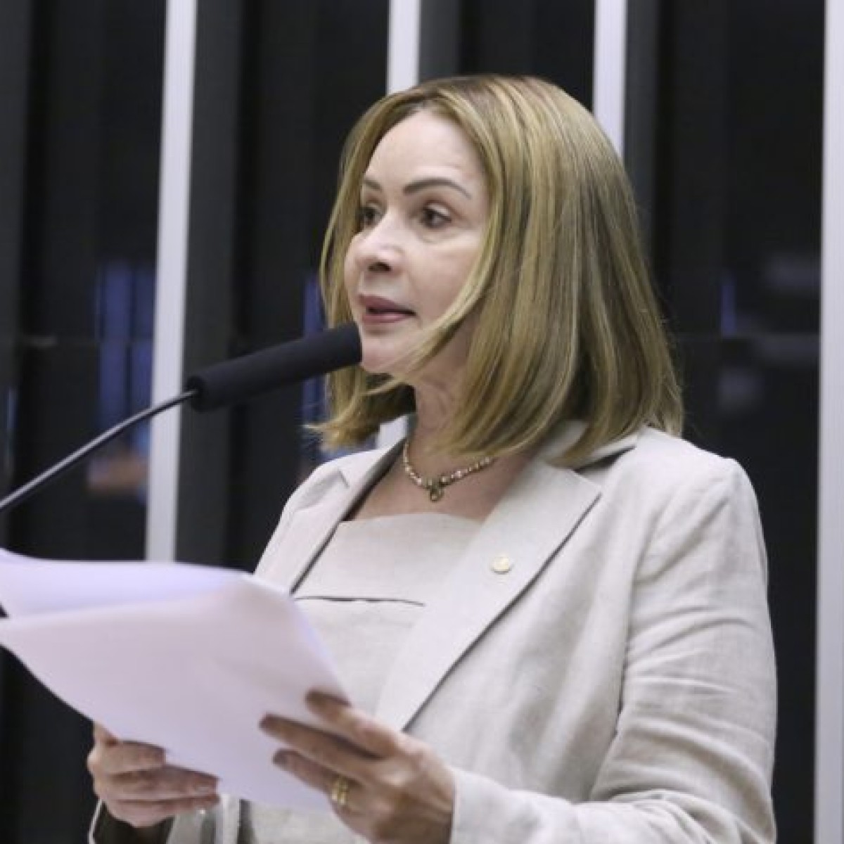 Merenda escolar: projeto amplia acesso para professores e servidores