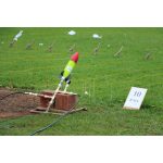 OBA e OBAFOG 2025: Escolas públicas se destacam em olimpíadas