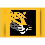 Partido Missão: nova direita e impacto eleitoral, segundo cientista