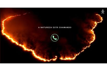 Vivo reforça compromisso ambiental rumo à COP30 na Amazônia