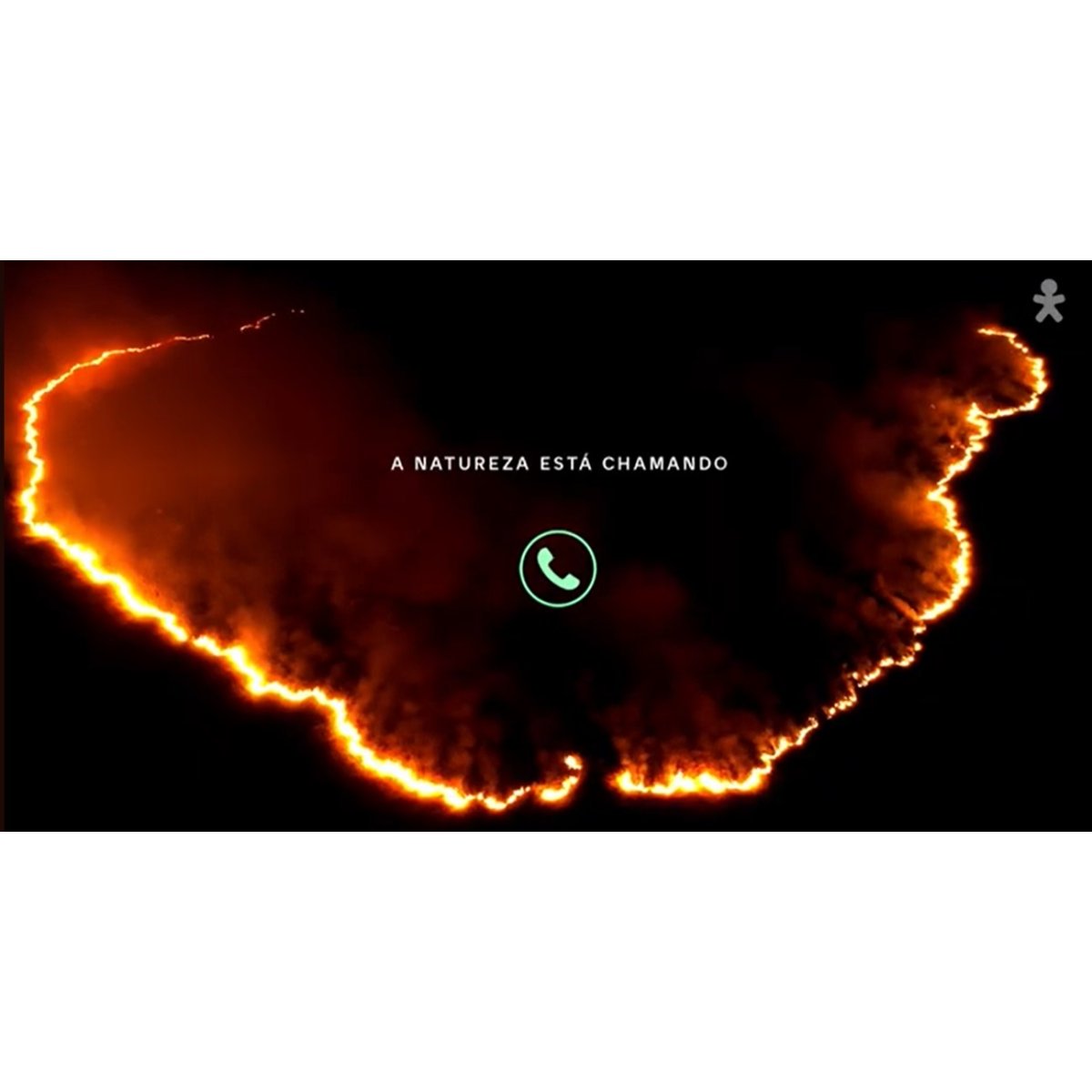 Vivo reforça compromisso ambiental rumo à COP30 na Amazônia