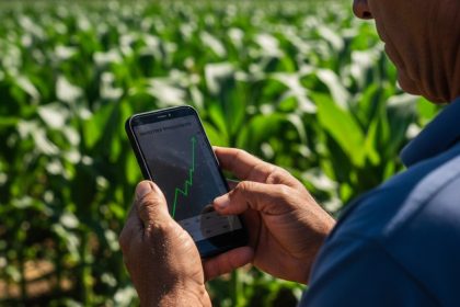 Gráfico de investimentos com seta ascendente