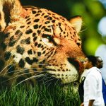 B4 debate compromissos climáticos pós-COP30 em Campinas