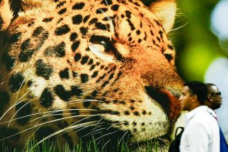 B4 debate compromissos climáticos pós-COP30 em Campinas