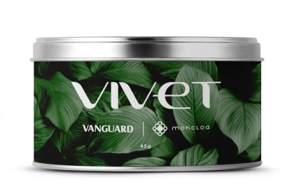 Bem-estar corporativo impulsiona personalização e Moncloa cresce