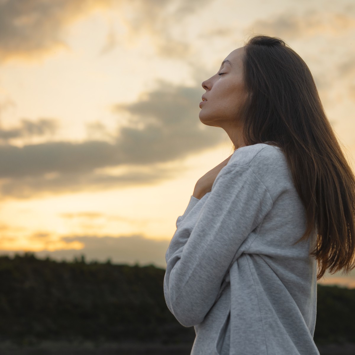 Ciência do Sentir: como transformar 2026 com autoconhecimento