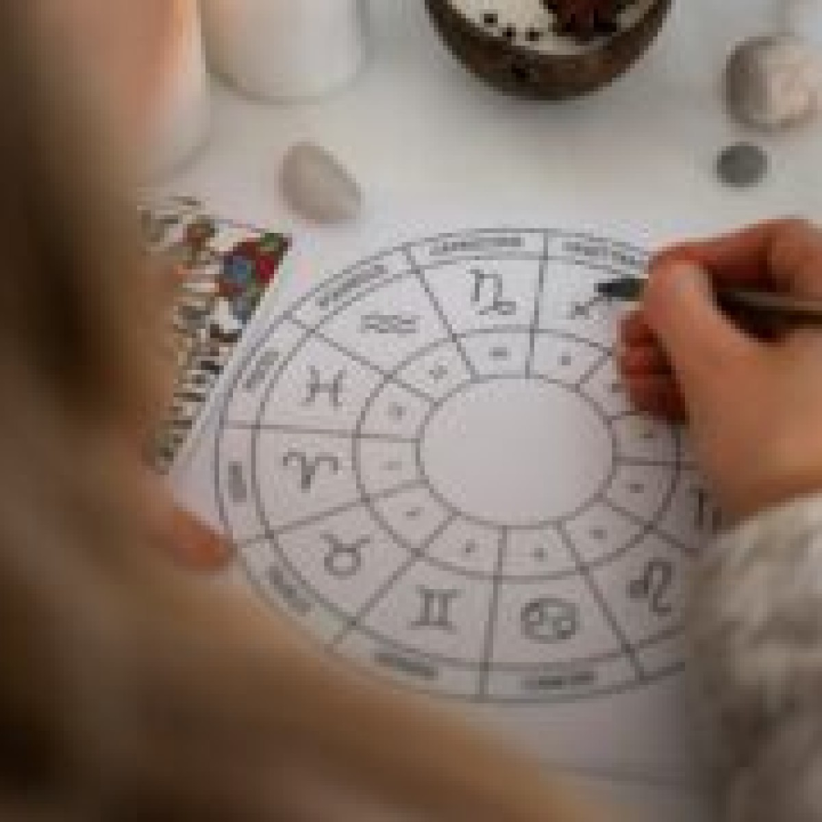 Especialistas em negócios oferecem insights para pautas de fim de ano